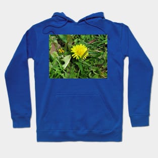 Dandy dandelion Hoodie